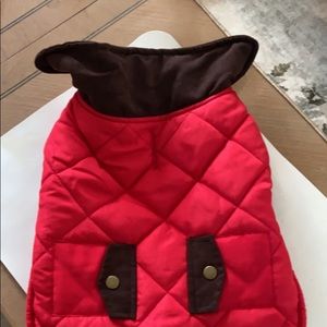 Dog outdoor coat and rain coat